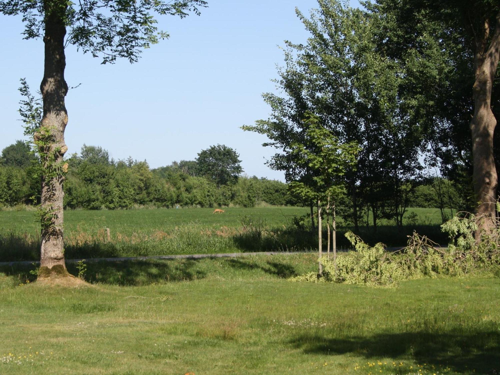 Detjens - Fewo In Ruhiger Lage Mit Terrasse Und Garten Ellingstedt Exteriér fotografie